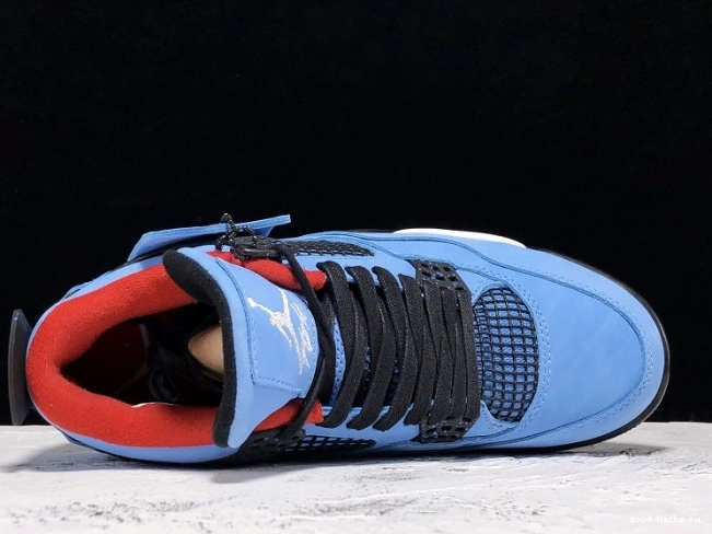 Air Jack Travis Cactus Scott Jordan 308497-406 4 x 0816